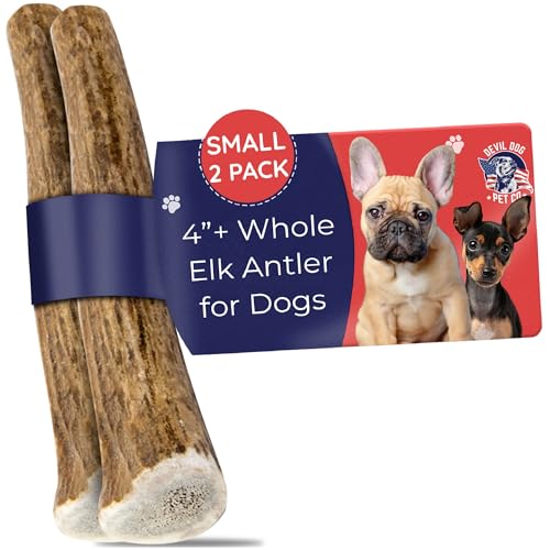 Devil Dog Pet Co Whole Elk Antlers for Dogs, Small 2 Pack, Long Lasting - style: WHOLE - Small - 2 Pack
