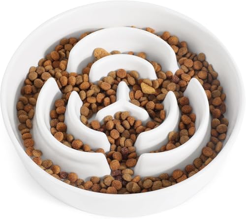 Ceramic Slow Feeder Dog Bowls 1.6 Cups for Medium & Small Fast Eaters,White - color: White, size: M - 1.6 Cups