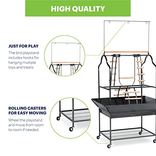 Prevue Pet Products Parrot Play Stand with Wheels - Black - size: Large