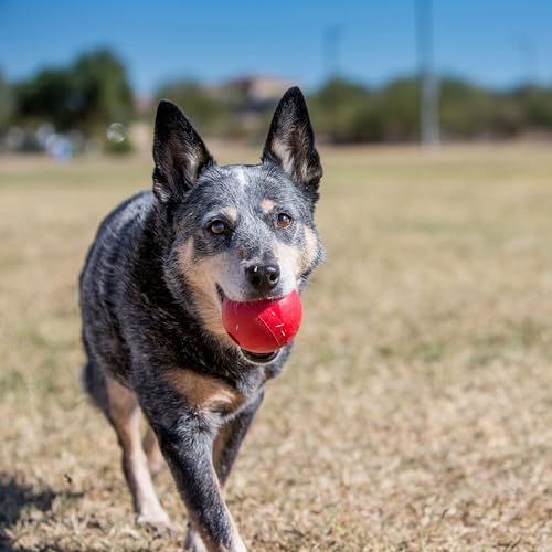 KONG Ball with Hole, Natural Rubber Fetch Toy, Red, for Small Dogs - size: Small