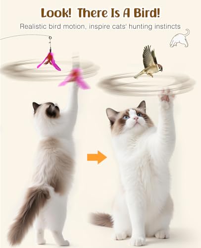 Pawaboo Cat Feather Wand Interactive Toy, 2 Feathers + 1 Wand with Bell - color: Rose + Red Brown