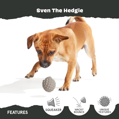 BarkBox Sven the Hedgie Rubber Dog Toy - Toy for Small Dogs - color: Sven the Hedgie - Small