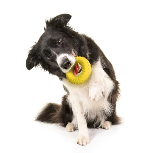 Playology Dual Layer Ring Dog Toy for Aggressive Chewers, Chicken Scent - size: Medium, style: Chicken