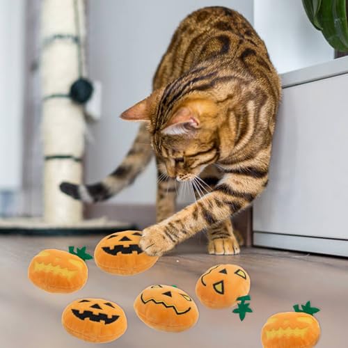 6pcs Halloween Pumpkin Catnip Toy，Hallowen Indoor Pumpkin Shaped Cat Toy Plush Interactive Chew Bite Toys for Cat Kitten Indoor Festive Holiday Cat Lover Gift - color: Pumpkin