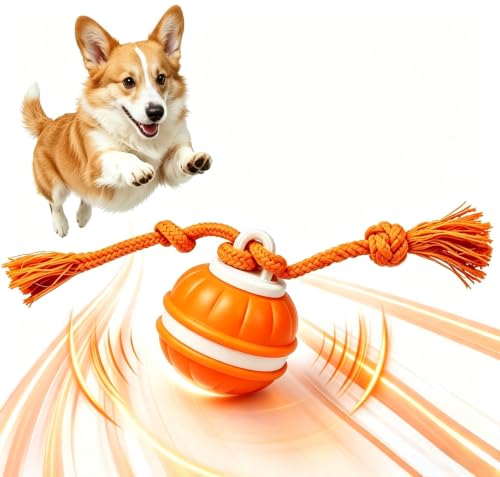 Interactive Dog Ball, 360° Self-Moving, USB-C, LED and Squeaker - color: orange