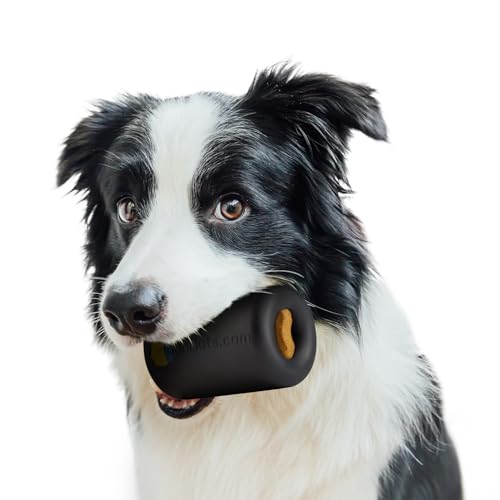 Goughnuts Work to Eat Dog Treat Toy – Virtually Indestructible Rubber Treat Dispensing Dog Toys for Aggressive Chewers, Mental Enrichment Feeder and Fillable Chew for Large Dogs, Freezable, USA Made - color: Work to Eat, size: Large, 60-120 Lbs (Maxx Size