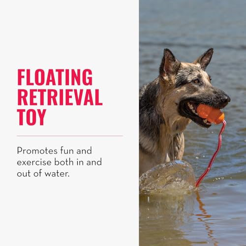 KONG Aqua Floating Fetch Toy, Natural Rubber, Orange, for Medium Dogs - size: Medium (Pack of 1)