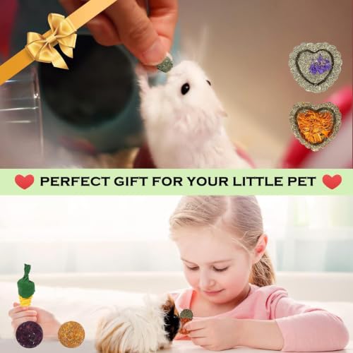Bunny Toys, 21PCS Rabbit Chew Toys for Teeth, Guinea Pig Natural Treats - size: 21Pack-small Set