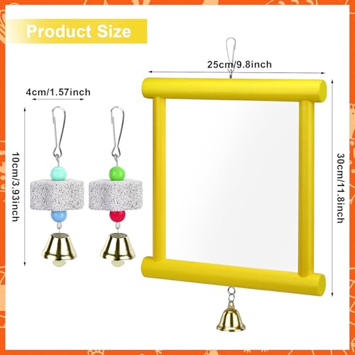 1 Pcs Chicken Mirror Toys Large 12x10 Inch Hanging Swing Mirror with Bell