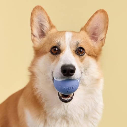 Playology Squeaky Chew Ball Dog Toy - Medium, Blueberry Scent - size: Medium, style: Blueberry