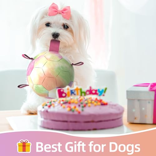 QDAN Dog Balls, Dog Herding Ball, 8 Inch Large Dog Soccer Ball with Strap - color: A-Colorful Pink, size: Large Size 3