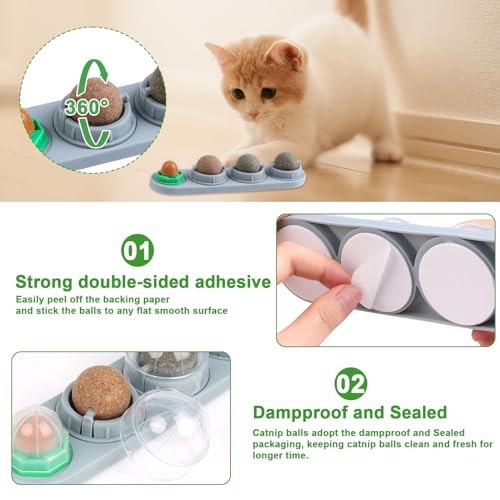 CCINEE Catnip Balls for Cats Wall Catnip Toys Edible Cat Toys for Cat Lick Safe Healthy Kitten Chew Toys Teeth Cleaning Dental Cat Toys(4 Flavor) - color: 4PCS