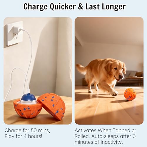 Self-Moving Rolling Dog Ball, Interactive Toy, Rechargeable - color: Energetic Orange