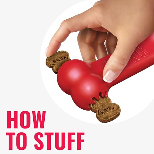KONG Goodie Bone - Classic Durable Natural Rubber Dog Bone, Supports Mental Engagement - Treat Dispensing - Red - for Medium Dogs (Pack of 2) - size: Medium (Pack of 2)