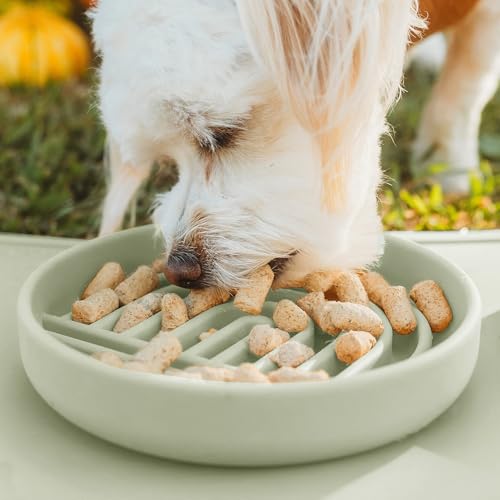 Slow Feeder Dog Bowl - Silicone Dog Bowl, Small, 6" x 1.25" - Sage - color: Sage - Rainbow Design, size: Small (6” Across x 1.25” Tall)