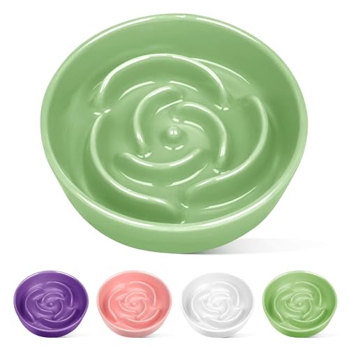 TRUVIC Ceramic Slow Feeder Dog Bowls, 1.5 Cup Puzzle Slow Feeder Bowls for Fast Eaters, Ceramic Dog Food Dish no Black Chin, Puzzle Bowl for Medium Dogs, Green - color: 04-Green, size: M-1.5 Cups