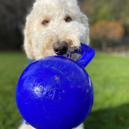 Jolly Pets Tug-n-Toss Heavy Duty Dog Toy Ball with Handle, 4 Inches/Petite, Blue (404 BL),Small Breeds - color: Blue, size: 4 inches/Petite