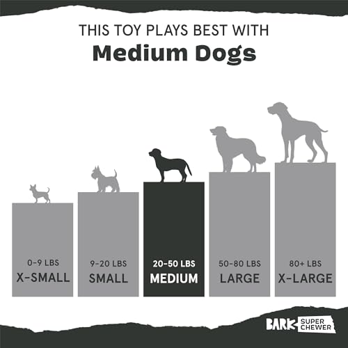 BarkBox Pivot Super Chewer Dog Toy - Toy for Medium Dogs - color: Pivot