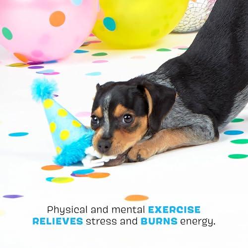 BarkBox The Party Farter Dog Toy - Fun for Dogs - color: The Party Farter