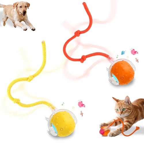 Interactive Cat Toys Smart Ball for Cats & Dogs! Now with 2 Rapid Tails. Features: 360°Auto-Rolling, Motion Activation& Bird Sounds. Perfect for Indoor Pet Exercise & Fun. (Yellow＆Orange) - color: Yellow＆Orange