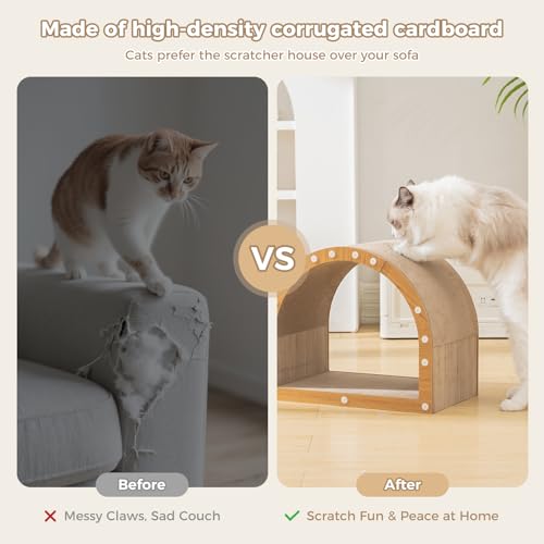 Avont Cardboard Cat Scratcher House, Kitten Tunnel & Scratching Pad