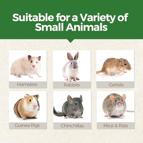 TEEWY 4PCS Guinea Pig Toys, Prevent Teeth Overgrowth, Natural Vegetables and Timothy Grass, Hamster Chew Toys, Guinea Pig Chew Toys, Chinchilla Toys, Peapod and Stawberry Chew Toy Set - style: 4PCS-Peapod and Stawberry