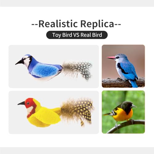 Interactive Cat Toys for Indoor Cats,Catnip and Feather,2Pcs - style: 2 Pack birds