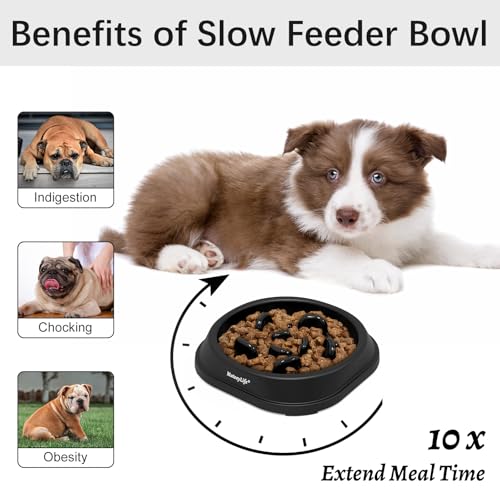MateeyLife 1-Pack Slow Feeder Dog Bowls, 1 Cup, Dog Puzzle Feeder Bowl - color: H-Black, size: Small
