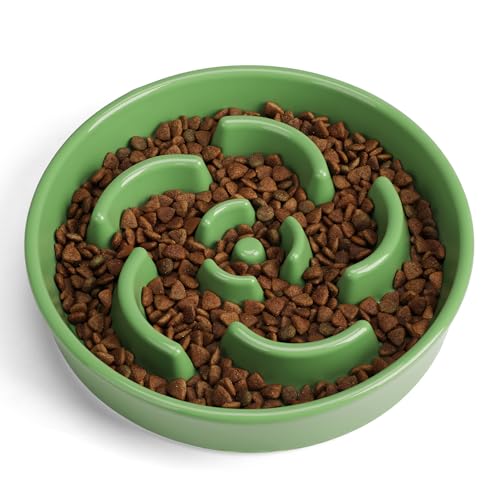 Ceramic Slow Feeder Dog Bowl, 2 Cups Maze Puzzle Dish to Slow Down Eating - color: Flower - Green