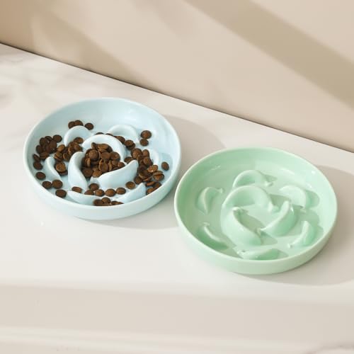 2 Pack Ceramic Cat Slow Feeder Bowl Set, 6.3" Wide, Slow Eating 5X - color: Blue and Green