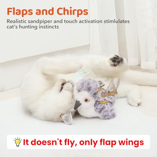 Potaroma Cat Toys Flapping Bird (No Flying), Lifelike Sandpiper Chirp Tweet, Rechargeable Touch Activated Kitten Toy Interactive Cat Exercise Toys for All Breeds Cat Kicker Catnip Toys 4.0" - style: Male Sandpiper
