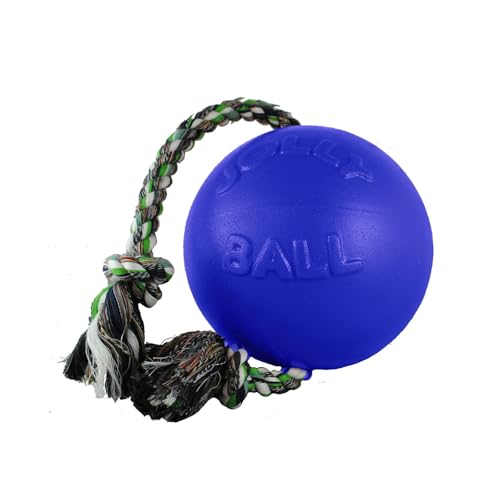 Jolly Pets Romp-n-Roll Rope and Ball Dog Toy, 6 Inches/Medium, Blueberry, Model Number: 606 BB, All Breed Sizes - color: Blueberry, size: Medium (6 in)
