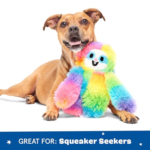 BarkBox Good Vibes Gary Dog Toy - color: Good Vibes Gary