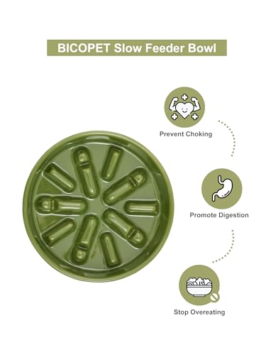 Ceramic Slow Feeder Dog Bowl, Green, Small - color: Lights-Green, size: Small
