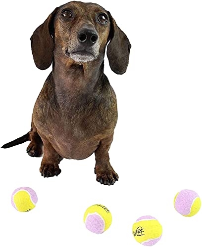 Midlee Small Dog Tennis Ball- Yellow/Lavender- Set of 12