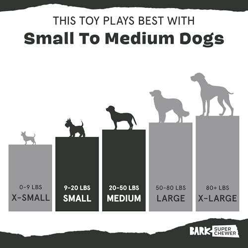 BarkBox Pine Cone Dog Toy - Toy for Large Dogs - color: Pine Cone-Large