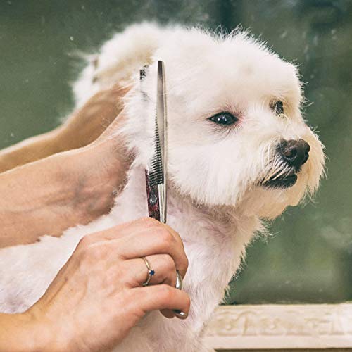Gimars 7.0in Professional 4CR Stainless Steel Safety Round Tip 6 in 1 Dog Grooming Scissors Heavy Duty Titanium Coated Pet Grooming Scissor for Dogs, Cats and Other Animals - style: 7inch Silver Round Tip 6 in 1 Professional