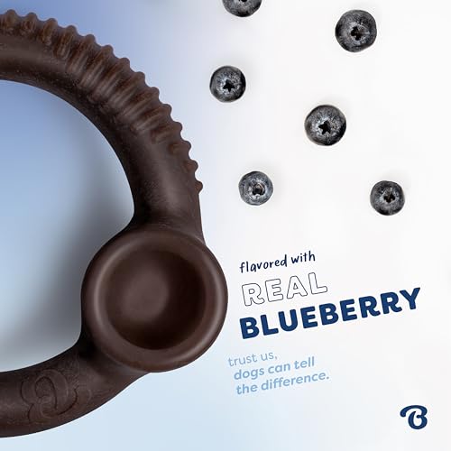 Benebone Ring Dog Chew Toy for Aggressive Chewers, Blueberry, Small - color: REAL Blueberry, size: Small