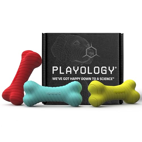 Playology Dual Layer Bone Bone Dog Chew Toy Box - Medium, Variety of Scents - style: Dual Layer Bone Box