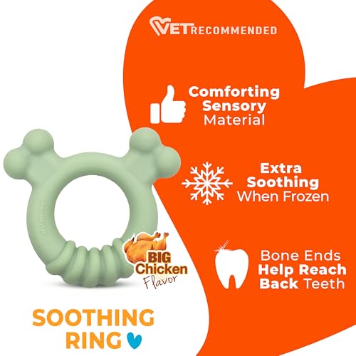 Nylabone Puppy Chew Sensory Material Soothing Ring Dog Chew Toy, Small