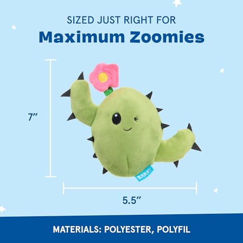 BarkBox Consuela the Cactus 2-in-1 Interactive Plush Dog Toy - color: Consuela the Cactus - Large