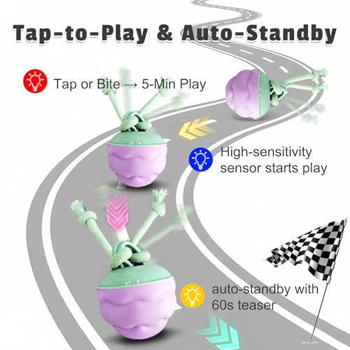 Interactive Dog Toys [2025 Upgrade] – Smart Dog Ball, Automatic Motion-Activated Rolling, Random Path, Squeaky Sounds, USB-C Rechargeable LED Light, Indoor/Outdoor Use