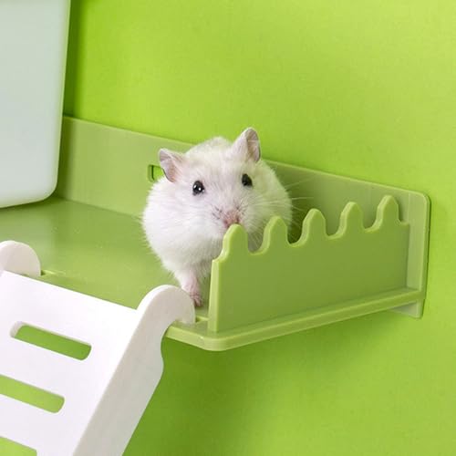 Hamster Play Platform, Plastic Hamster Platform with Ladder, Small Animals Standing Platform, Hamster Stand Platform Toys, Small Animal Cage Standing Platform for Guinea Pig - size: Large