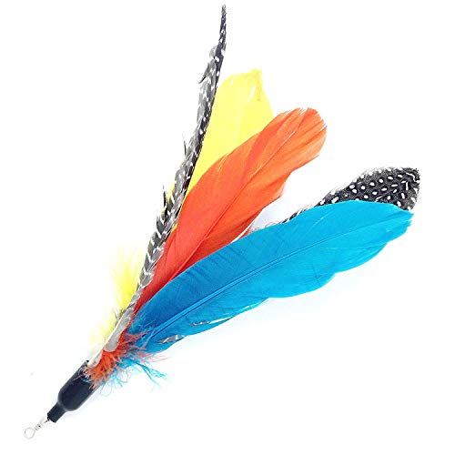 Pet Fit for Life Retractable Interactive Cat or Kitten Wand with 2 Feathers and 1 Soft Furry Combo - style: 2 Feathers + Fish