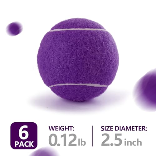 PHOEPET 6-Pack Tennis Balls for Beginner Training Practice- Bulk Dog Balls - color: Purple-6 Pack, size: Medium 2.5"- 6 Pack