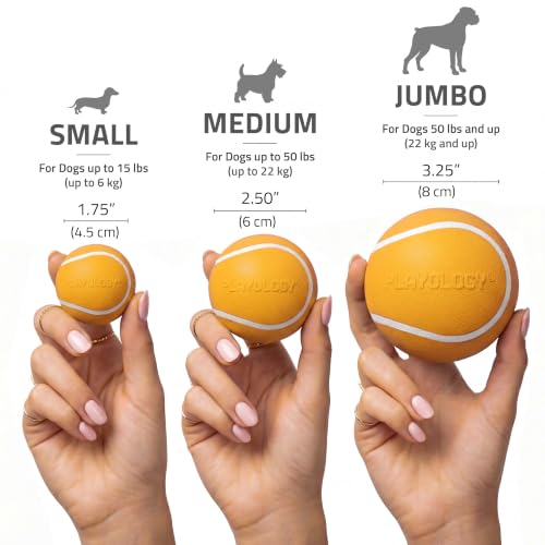 Playology Squeaky Chew Ball Dog Toy - Small, Pumpkin Spice Scent, 3-Pack - size: Small (VALUE 3-Pack), style: Pumpkin Spice