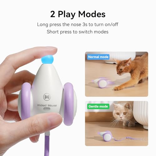 Interactive Cat Toys for Indoor Cats - Automatic Moving Kitten Toys, Wicked Mouse Neo Cat Toy with Tail & Lights, Pet Cat Supplies, Rechargeable Cat Toys for Bored Indoor Adult Cats, Purple