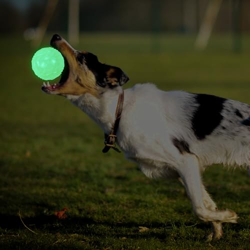 LECHONG 4-Pack 3.5” Glow Squeaky Dog Balls,Bouncy Glow in The Dark Dog Ball with Squeaker, Durable Dog Rubber Ball Toys Glowing Fetch Balls for Medium Large Dogs Nighttime Playing Indoors & Outdoors - size: 3.5in Large Regular