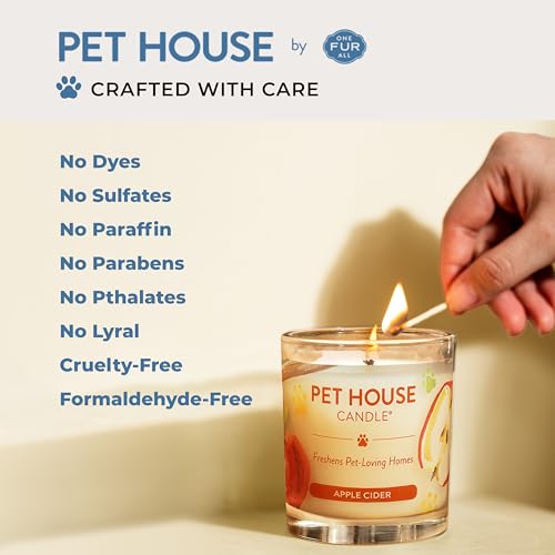 Bamboo Watermint Candle Pet Friendly Plant-Based Wax, 2 Pack Pet House - color: Bamboo Watermint, size: Pack of 2