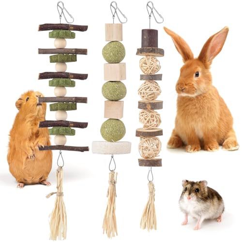 Bissap 3PCS Bunny Chew Toys, Natural Hanging Molar Treats for Small Pets - size: 3 PCS